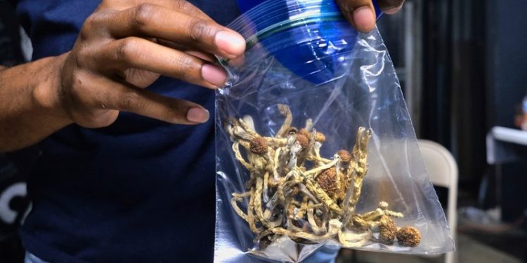 California bill decriminalizing personal use of psychedelics, magic mushrooms heads to Newsom’s desk