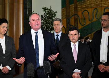 Delegation of Australian lawmakers will visit US to push for Julian Assange’s release: ‘Powerful message’