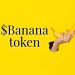 $banana token – Project information and price prediction