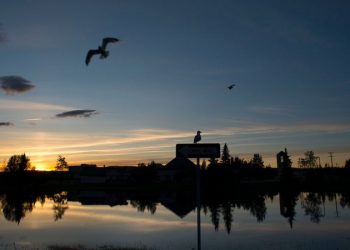 FBI tracks over 100 incidents of Chinese nationals posing as tourists to breach US military sites: report