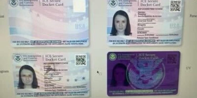 Leaked images show Biden admin’s planned ICE ID card for illegal immigrants