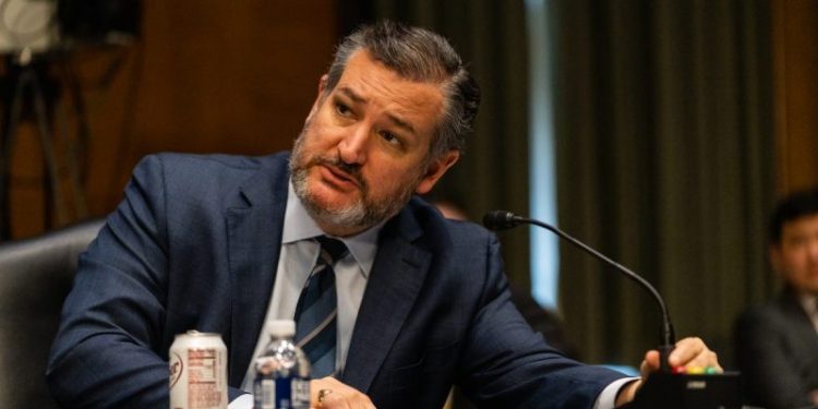 Cruz proposes life sentences for illegal aliens if Border Patrol agent is killed in pursuit