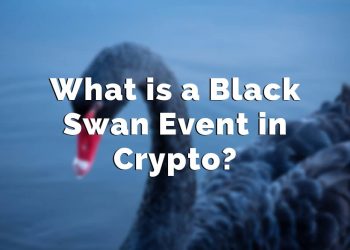 What is a Black Swan Event in Crypto – Get The Information