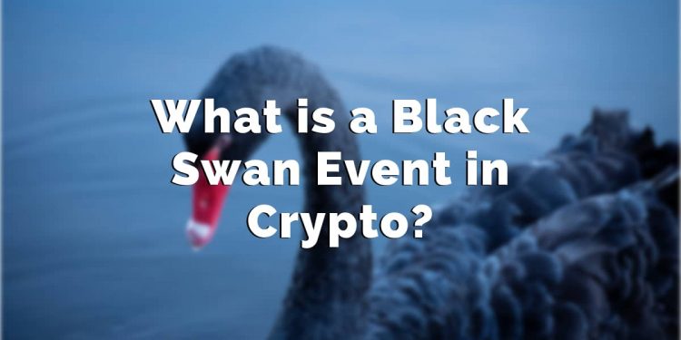 What Is A Black Swan Event In Crypto – Get The Information – The ...