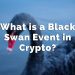 What is a Black Swan Event in Crypto – Get The Information