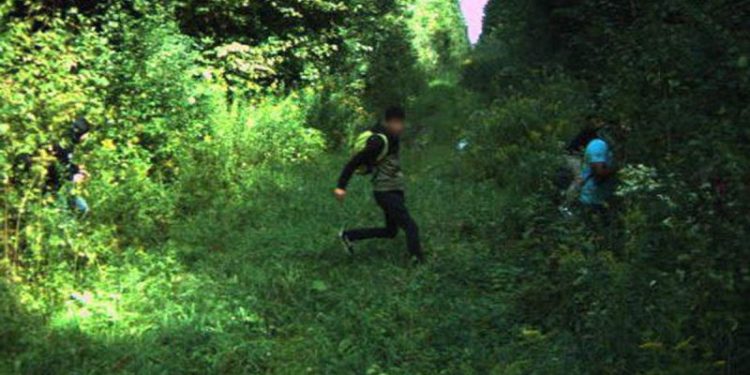 Northern border sees migrant surge from dozens of countries; more than last 10 years combined