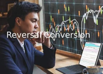 Reversal Conversion: Detailed Explanation and Example