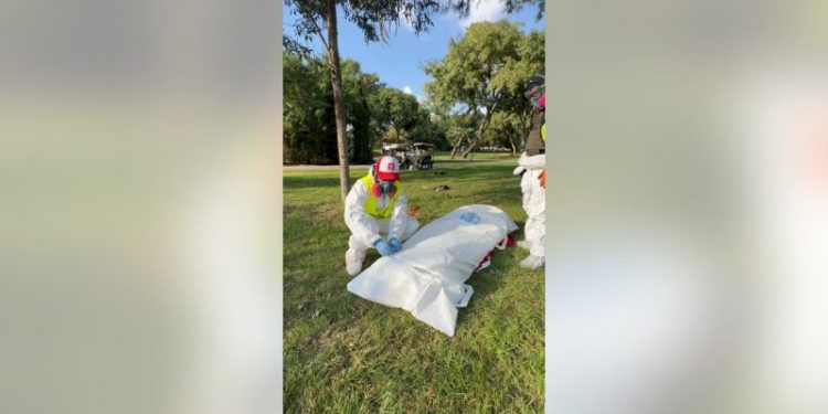 Make sponsors of terrorism like Iran pay for their crimes — literally