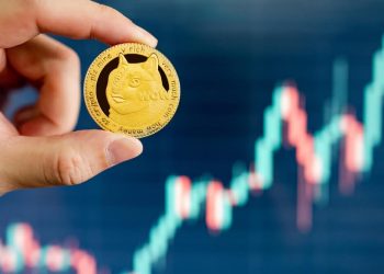 Dogecoin and Shiba Inu: Dogecoin made a jump above 0.06900