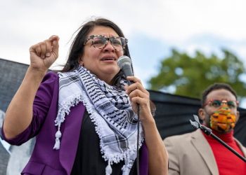 Key top Dems silent on controversial Tlaib statements, won’t comment on possible censure vote