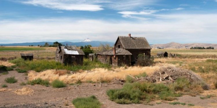 Bipartisan lawmakers eye solutions for rural mental health crisis