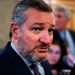 Cruz’s new book ‘Unwoke’ shows readers how to ‘defeat cultural Marxism’ invading US