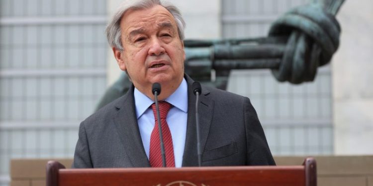 United Nations allowing Hamas to ‘literally get away with murder,’ expert says