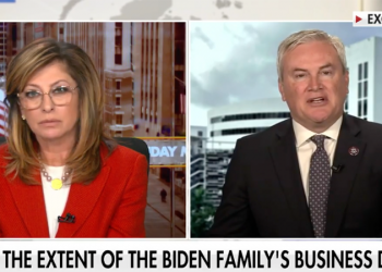 House oversight chair promises subpoenas for Joe, Hunter Biden: ‘Tax cheat’