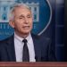 Fauci set to be grilled by House GOP majority for first time