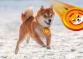 Dogecoin and Shiba Inu: Shiba Inu retreats to 0.00001000