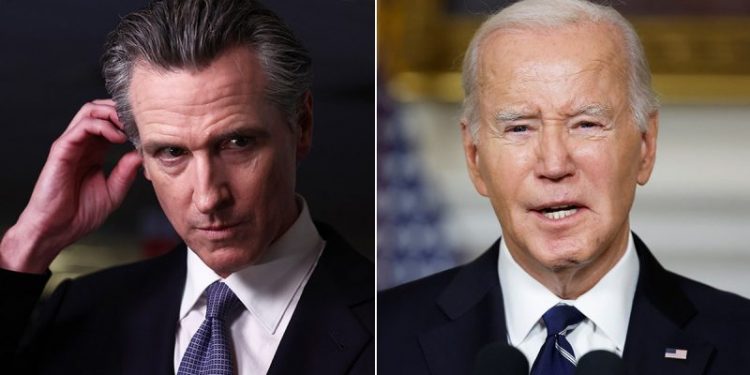 Liberal columnist praises ‘patriotic’ Newsom for ‘shadow campaign,’ slams Democrats for backing Biden
