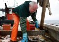 New England fishermen fighting ‘government overreach’ hope to catch a big win at Supreme Court