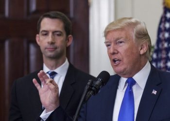 Cotton endorses Trump, says ‘everything has gone to hell’ under Biden