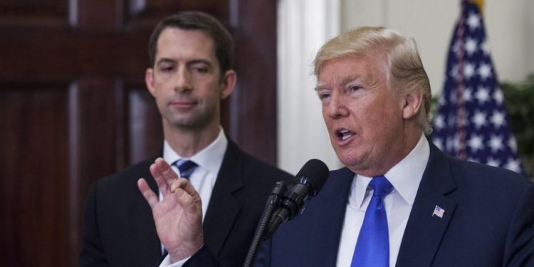 Cotton endorses Trump, says ‘everything has gone to hell’ under Biden