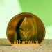 Ethereum Breaches $3,320, Nears $3,500