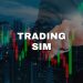 TradingSim: Is It Good a Trading Simulator?