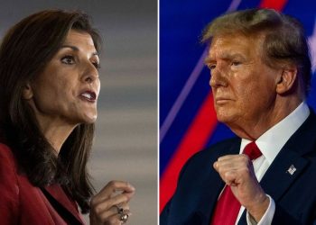 Haley slams Trump for Senate losses, calls out GOP lawmakers for courting him