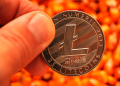 Litecoin’s Rollercoaster Week: A Dive Below $105