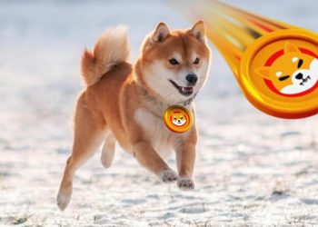 Dogecoin pullback from 0.19000, Shiba Inu found resistance