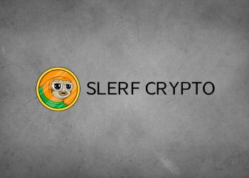 Slerf Crypto: What Do You Need to Know About This Token