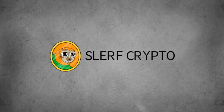 Slerf Crypto: What Do You Need to Know About This Token