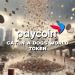 Paycoin’s Volatile 22.73% Plunge & 2024 Market Outlook