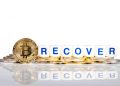 How to Recover Crypto Sent to the Wrong Network?