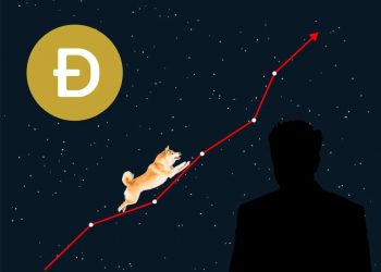 Dogecoin and Shiba Inu: Doge fell to 0.19000 this morning