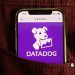 Will Datadog’s stock surge following BofA’s upgrade?