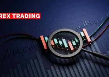 How Long Does It Take to Learn Forex Trading?