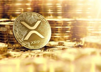 Surge In XRP Ledger Transactions Highlights Growing Activity