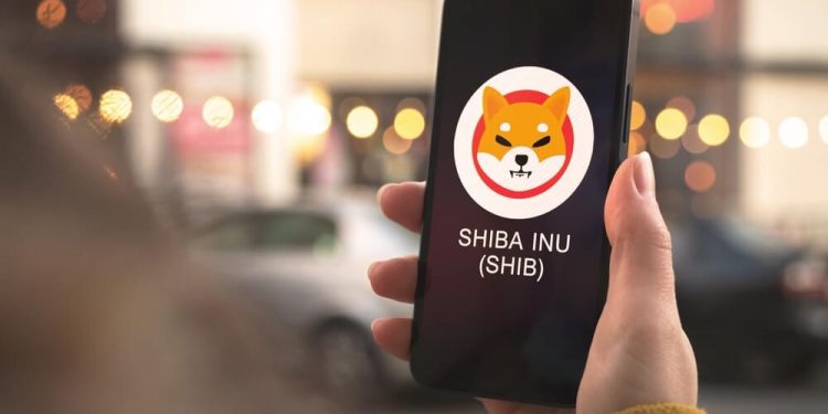 Shiba Inu (SHIB) Faces Critical Support Test at $0.000024