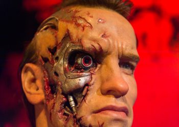 Memeinator has made waves in 2024: what makes MMTR a good investment?