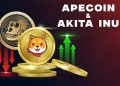 ApeCoin and the Akita Inu: Akita collapses under pressure