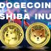 Dogecoin and the Shiba Inu: Dogecoin is failing to stabilize