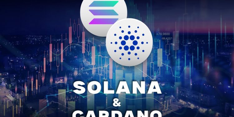 Solana and Cardano: Solana loses momentum this morning