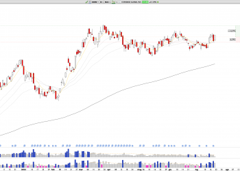 Long COIN: Coinbase Signal Bullish Reversal, Price Expansion Ahead Amid a Second Quarter in Trading Range