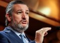 Cruz warns against underestimating Harris: Dems pitching her as ‘Mother Teresa, Oprah, and Gandhi’ combo