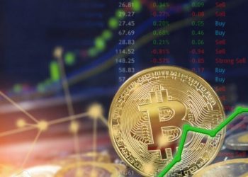 Next Big Cryptocurrency: 2024 Top Picks