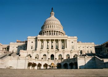 What could Donald Trump’s victory mean for Bitbot in 2024?