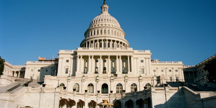 What could Donald Trump’s victory mean for Bitbot in 2024?