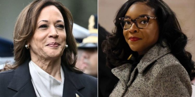 Vulnerable House Dem dodges question on VP Harris’ record as ‘border czar’: ‘Don’t know who Kamala Harris is’