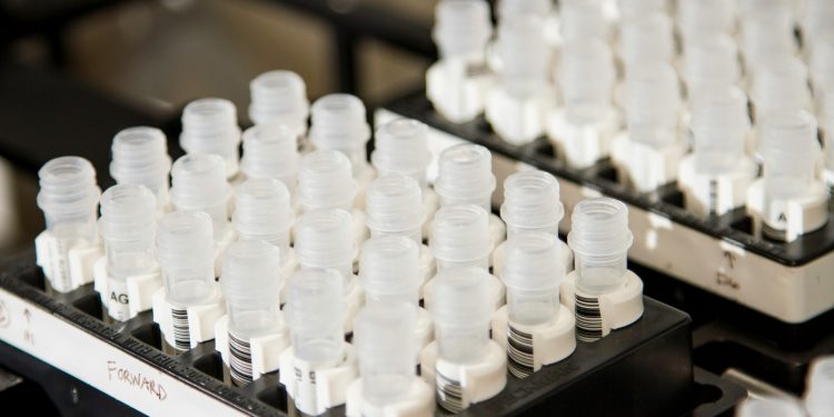 Agenus stock plummets over 50% as FDA rejects accelerated approval for BOT/BAL cancer therapy