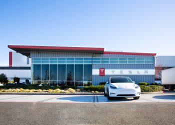 Tesla tanks on Robotaxi delay